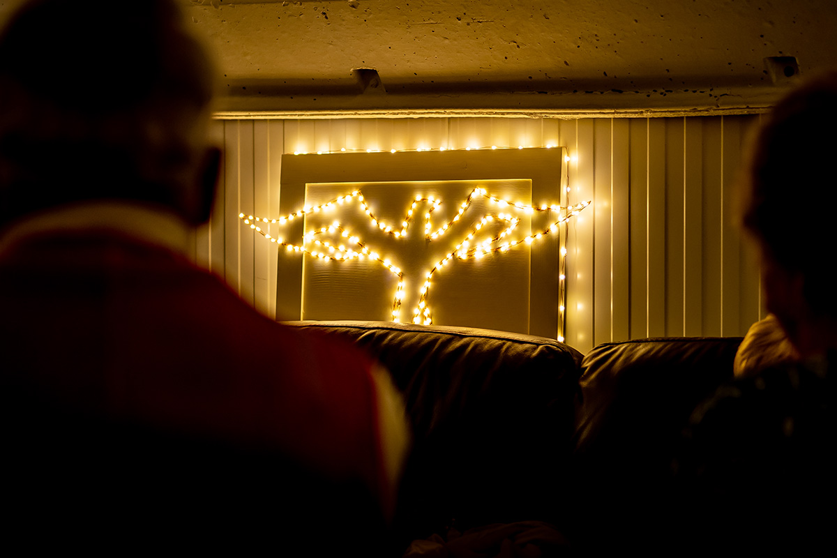 Firebird logo lit up in dark room