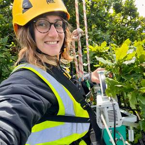 Alice Gauthey, working high up in the trees