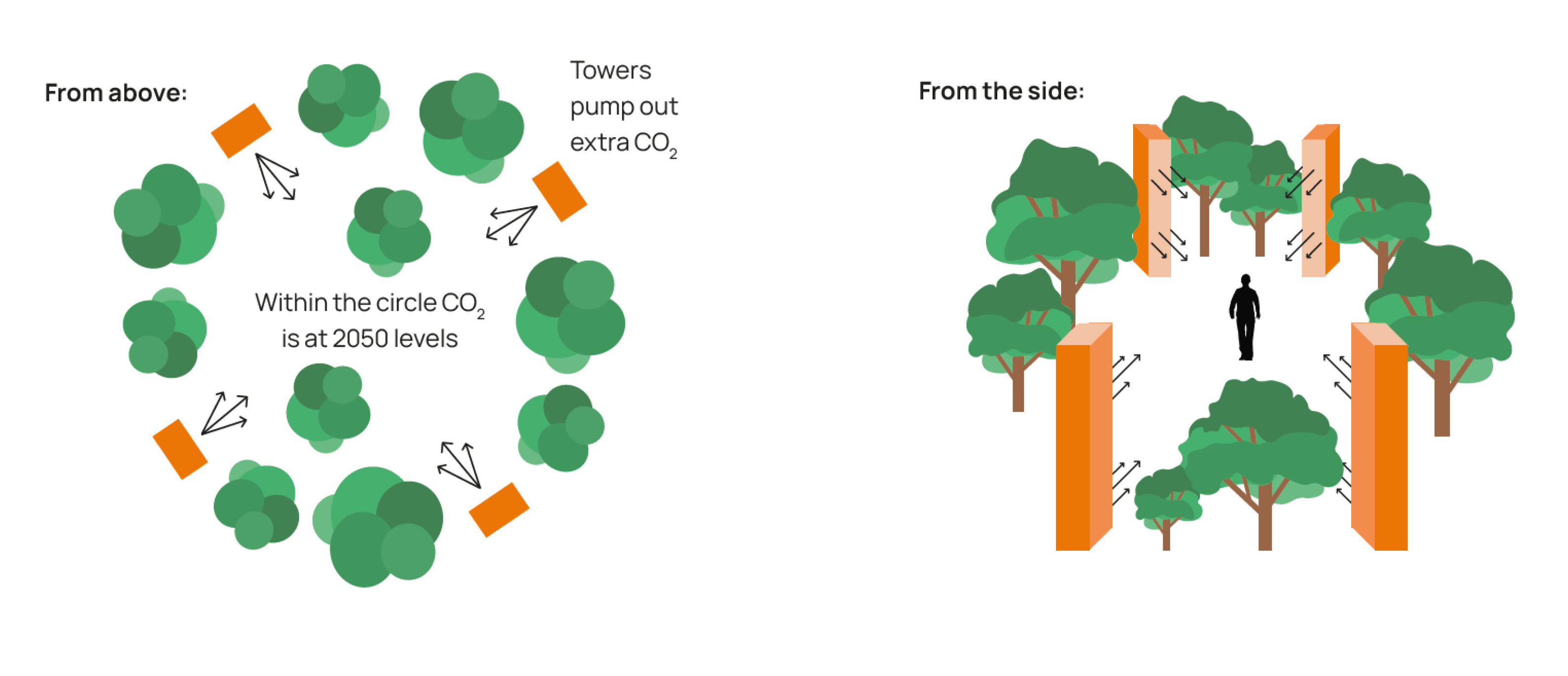 Diagram of research towers pumping CO2 into a circle of trees