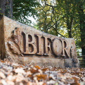 BIFoR logo carved into a log