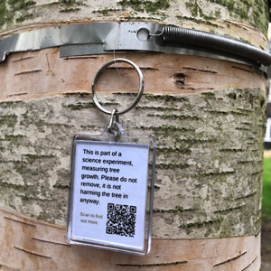 Dendrometer on a tree, with tag explaining the BIFoR research